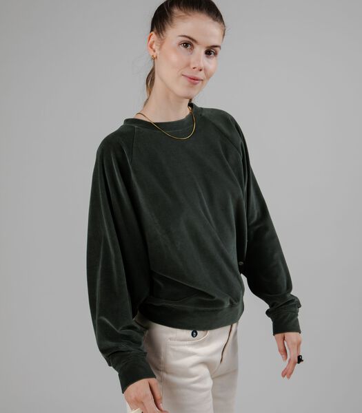 Velvet Raglan Sweatshirt Green