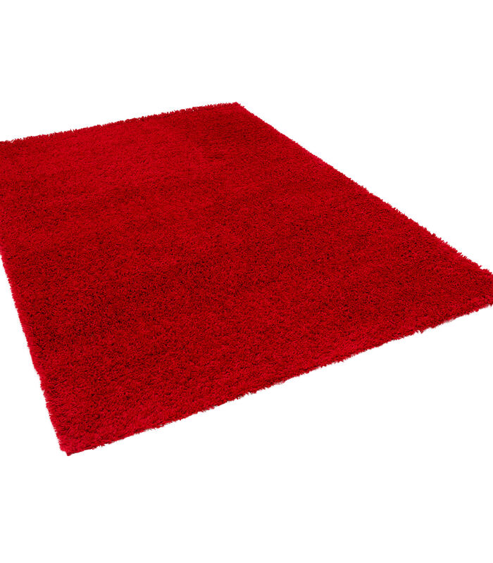 Hoogpolig langpolig Shaggy vloeerkleed tapijt Fluffy image number 4