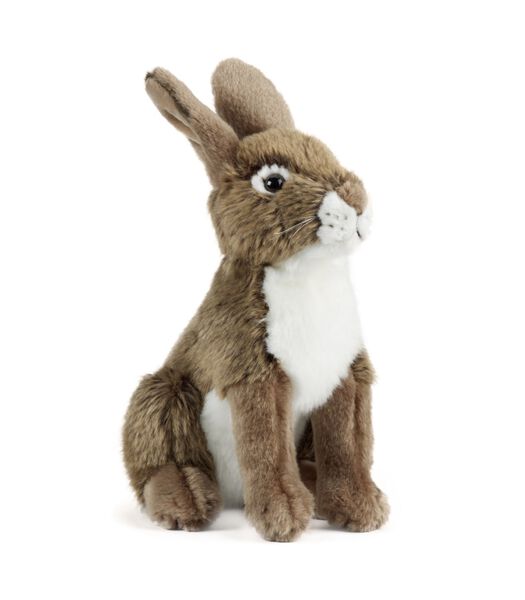 knuffel Hare