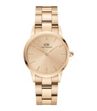 Iconic Unitone Montre Or rose DW00100401 image number 0