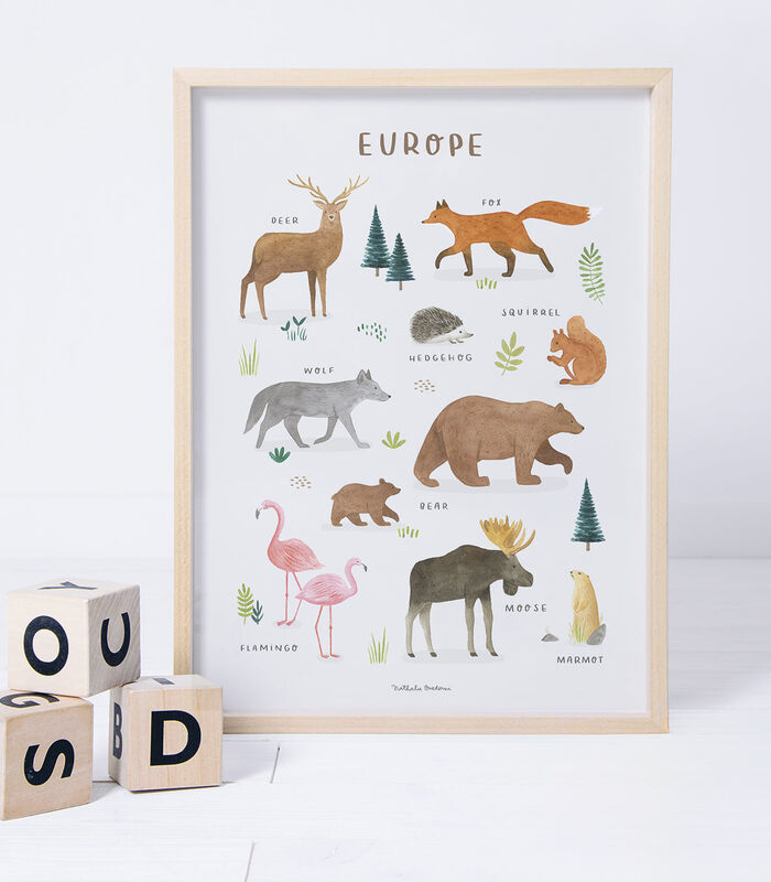 LIVING EARTH - Affiche enfant - Animaux d'Europe image number 3