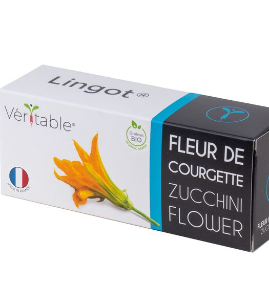 Lingot® Courgettebloem BIO - voor Véritable® Moestuinen