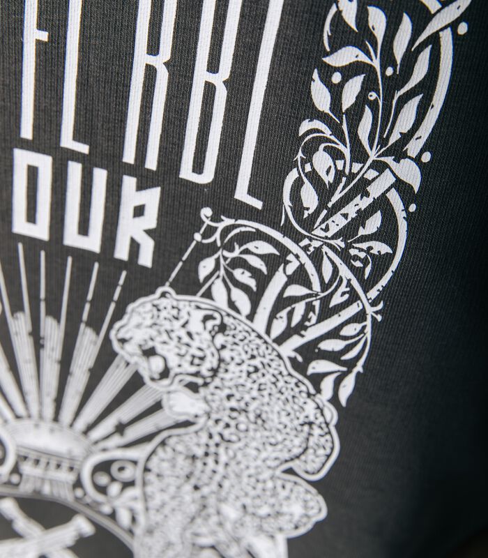 CLRFL RBL Tour jurk grijs image number 2