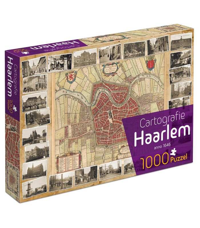 Cartografie Haarlem (1000) image number 0