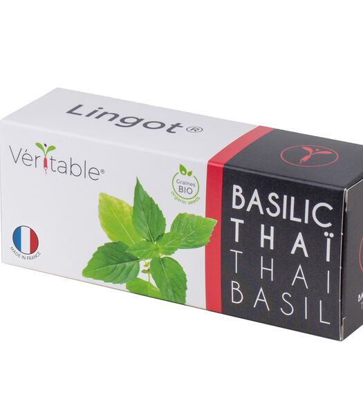 Lingot® Thaise Basilicum BIO - voor Moestuinen