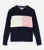 Sweater met essentiële colourblocking image number 0