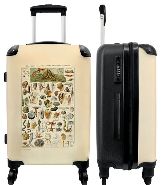 Handbagage Koffer met 4 wielen en TSA slot (Vintage - Schelpen - Zeedieren - Illustratie)