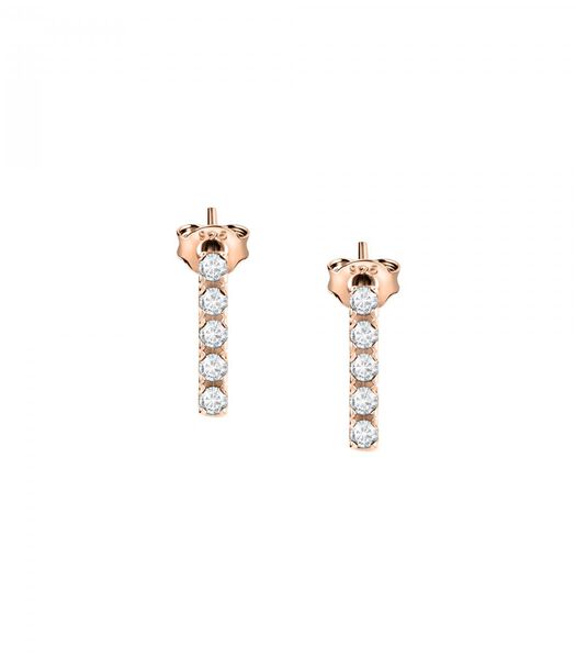 Boucles d'oreilles en argent 925 ESSENTIAL