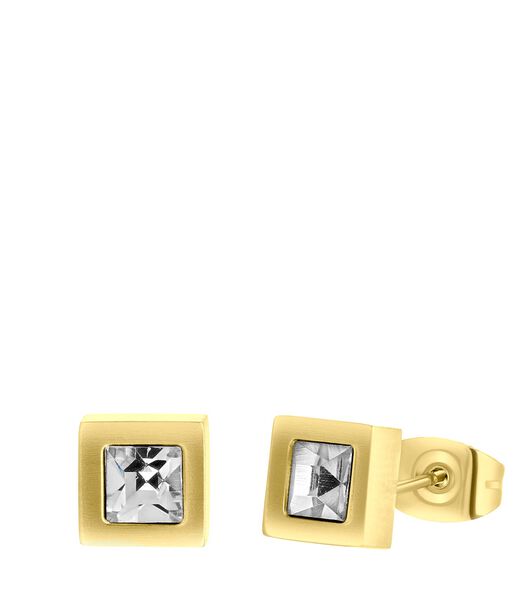 Boucles d'oreilles pour hommes en acier plaqué or avec zirconia
