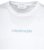 Calvin Klein T-Shirt Shadow Logo Blanc image number 1