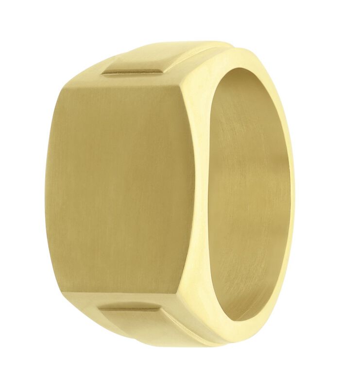 Ring Staal - goudkleurig image number 0