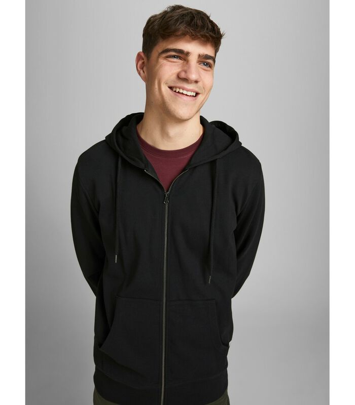 Hooded sweatshirt Basic zippé image number 4