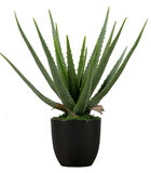 Plante artificielle aloe vera - Plastique - Vert - 46x14x14 cm image number 0