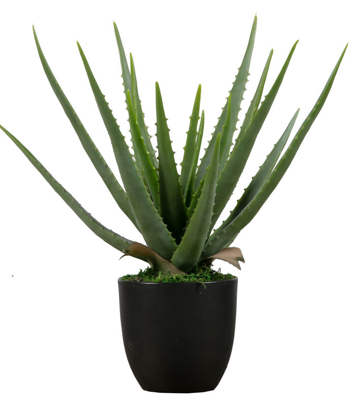 Plante artificielle aloe vera - Plastique - Vert - 46x14x14 cm image number 0