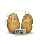 Kidzlabs GREEN SCIENCE: potato clock image number 1