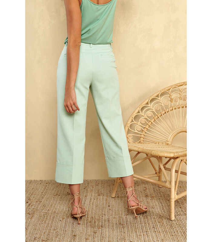 Pantalon culotte en vert menthe pastel image number 1
