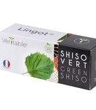 Lingot® Shiso Groen BIO - voor Moestuinen image number 0