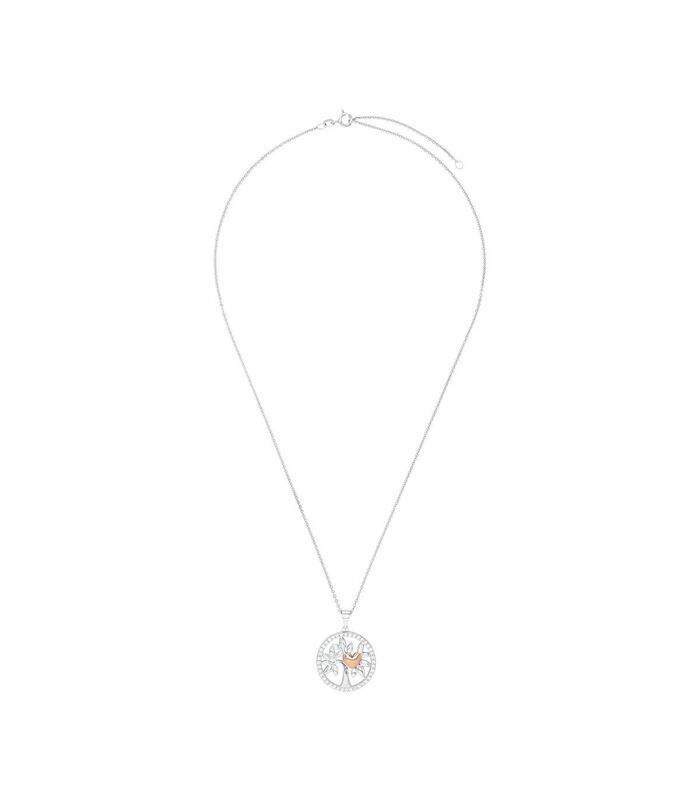Chaîne avec pendentif pour dames, argent 925 Sterling, zirconium synth. | cœur image number 1
