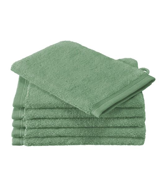 6 gants de toilettes Contessa sea green