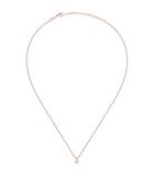 Ketting in Silver Rose' 925%. Aurora image number 1