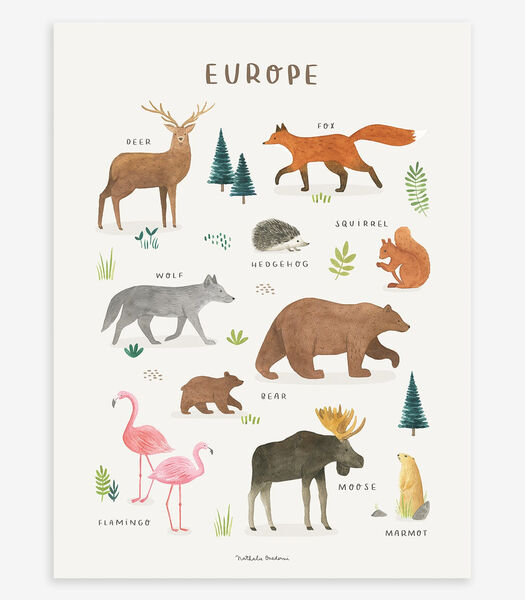 Affiche seule animaux d'Europe Living earth, Lilipinso