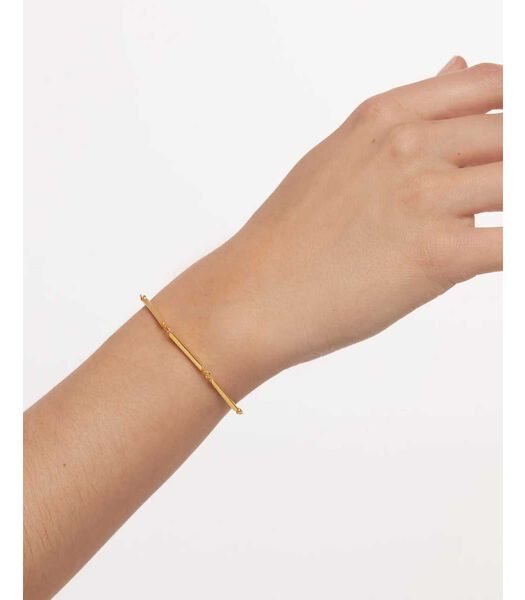 Armband Neo Goud goud zilver PU01176U
