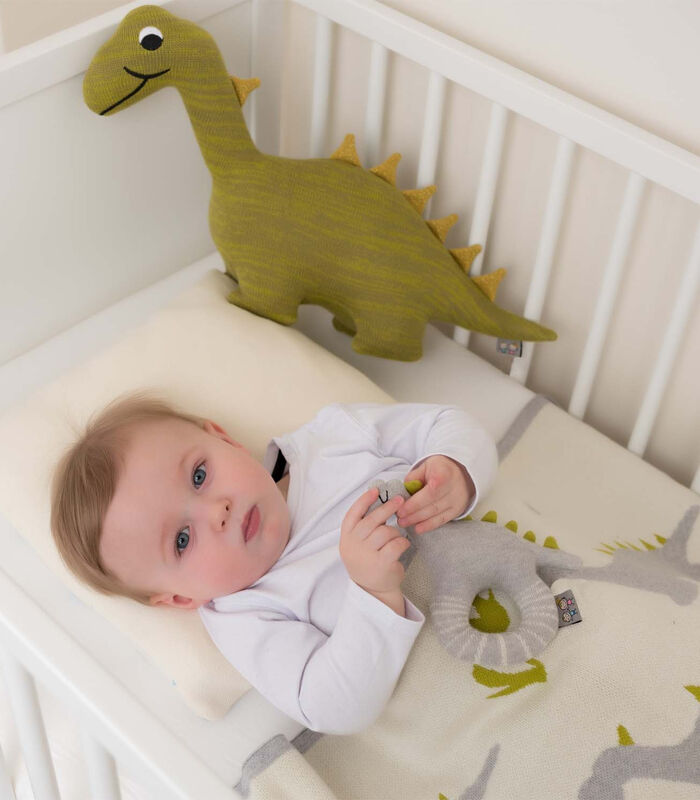 Couverture bébé en coton bio Dino image number 1