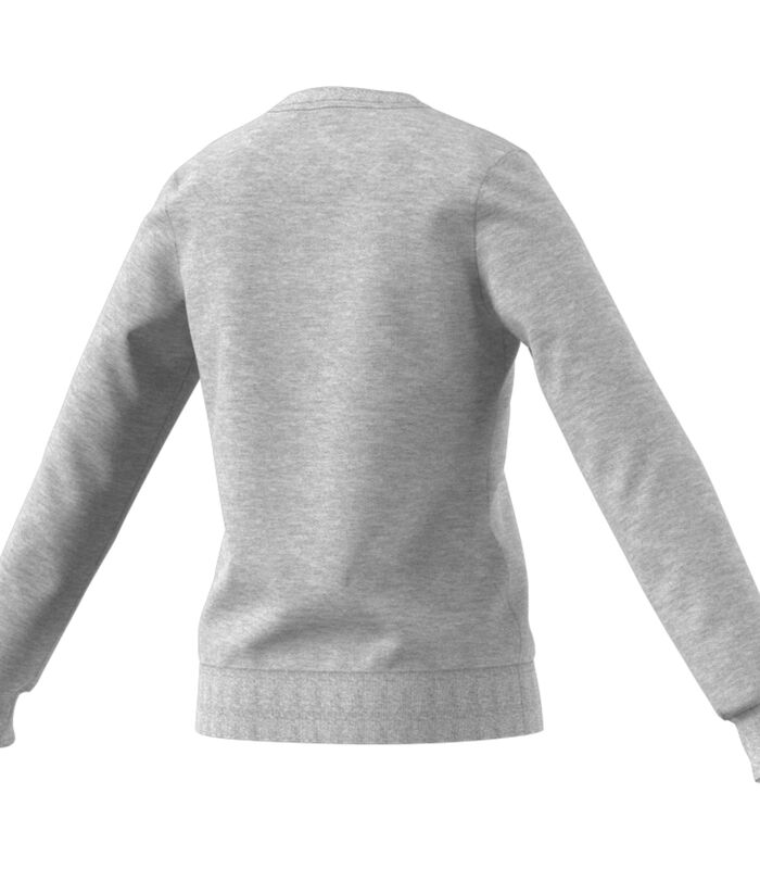 Dames sweatshirt Linear image number 4