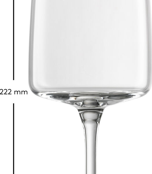 Verres à champagne Schott Zwiesel Vivid Senses Light & Fresh 380 ml - 2 pièces