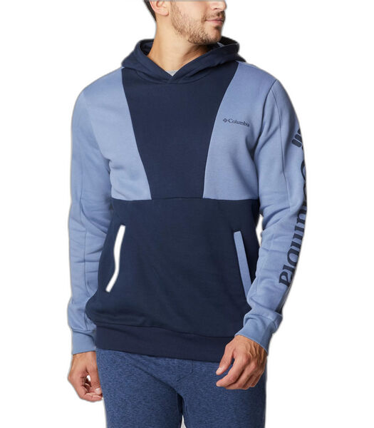 Hooded sweatshirt Lodge Colorblock