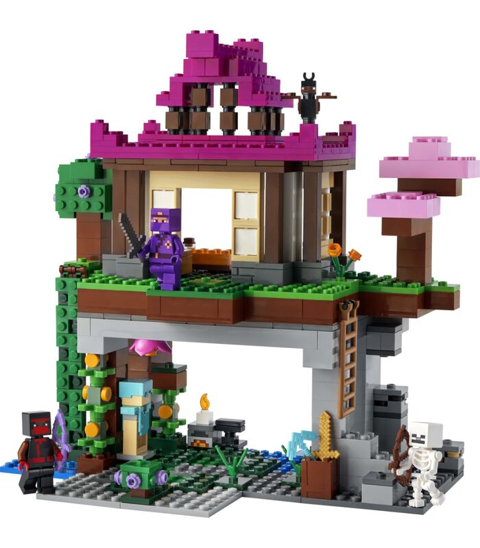 LEGO Minecraft 21183 Le Camp d'Entraînement image number 3