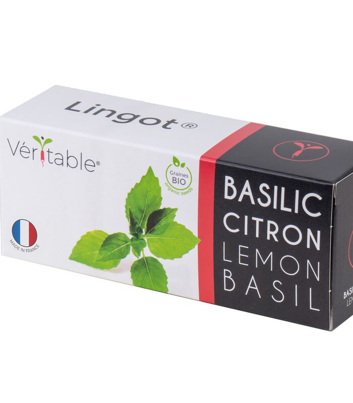 Lingot® Citroen Basilicum BIO - voor Moestuinen image number 0