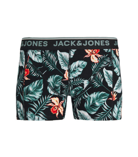 Boxer Tropical Flowers