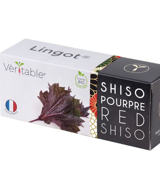 Lingot® Shiso paars BIO - voor Véritable® Moestuinen