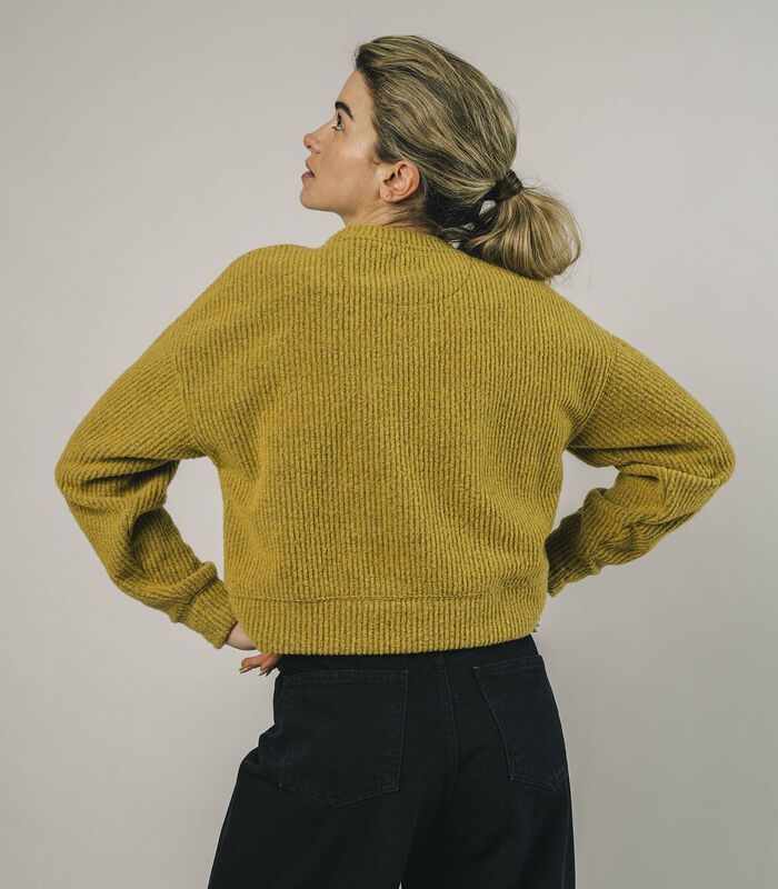 Cropped Sweater Mustard image number 3