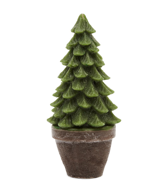 Kerstboom kaars Colorado Christmas Tree Groen - Maat L image number 0