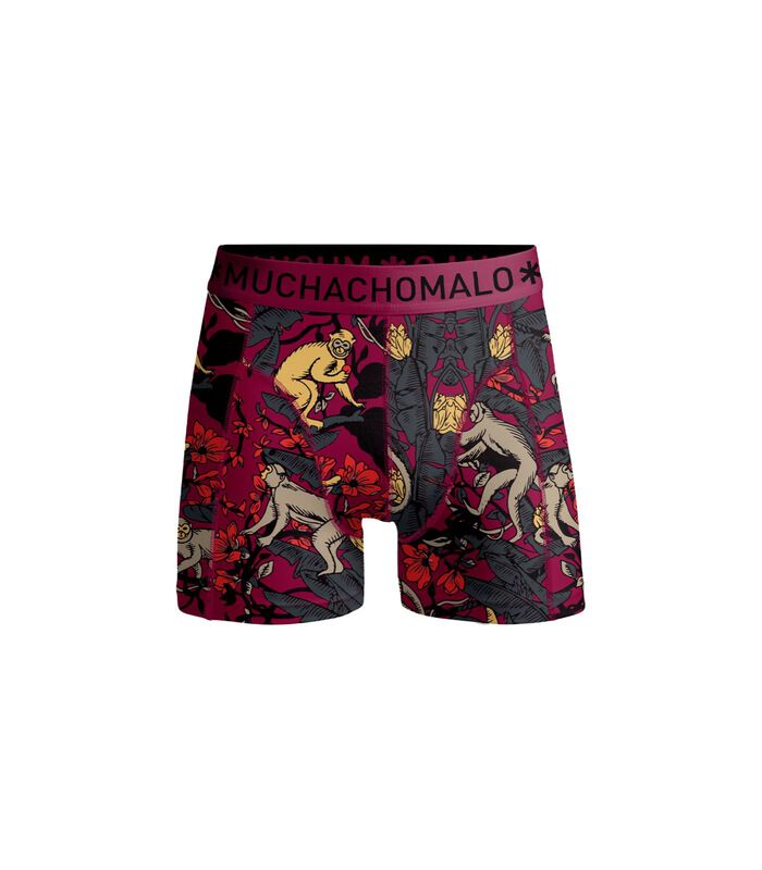 Muchachomalo Boxer-shorts Boîte Cadeau Lot de 12 Multicoloré image number 4