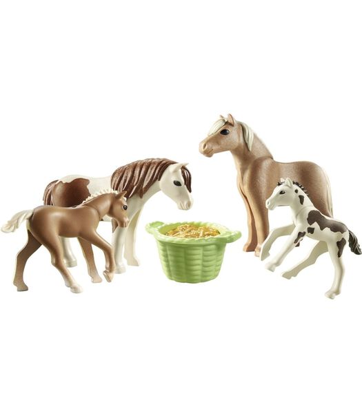 Country Ijslandse Pony'S Met Veulens - 71000