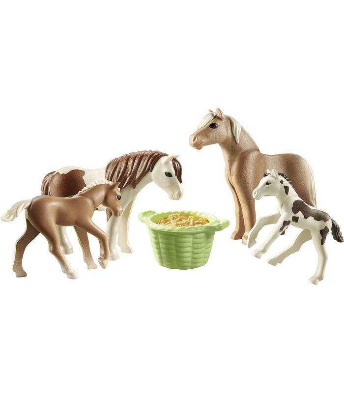 Country Ijslandse Pony'S Met Veulens - 71000 image number 1