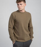 Ottoman sweatshirt-Dark Beige image number 1
