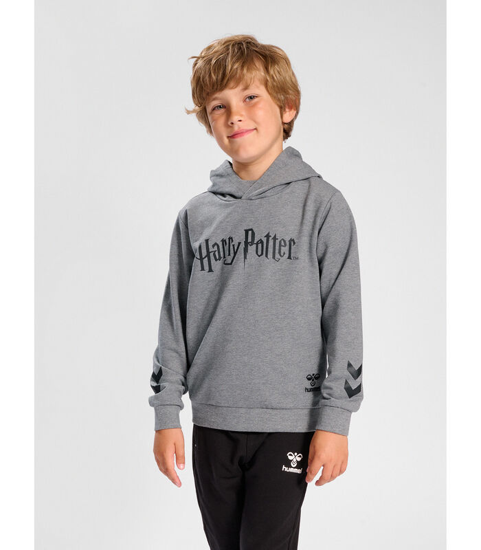 Sweatshirt à capuche enfant Harry Potter image number 2