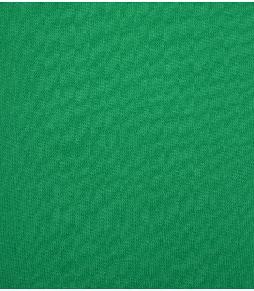 Colorful Standard T-shirt Vert