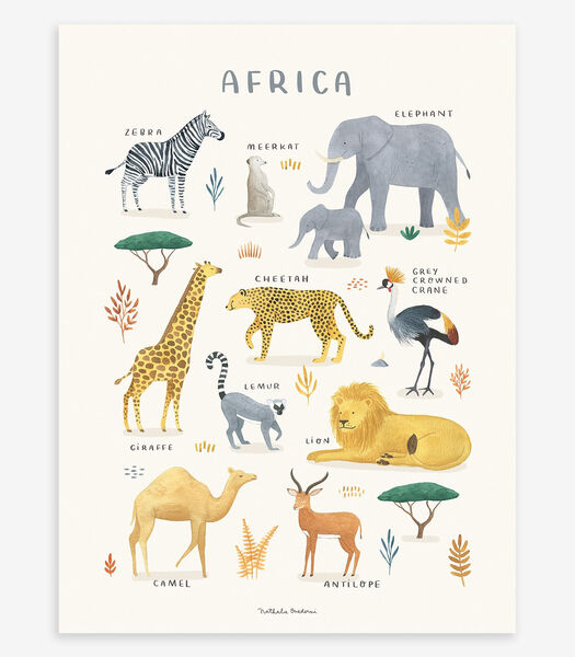 Affiche seule animaux d'Afrique Living earth, Lilipinso