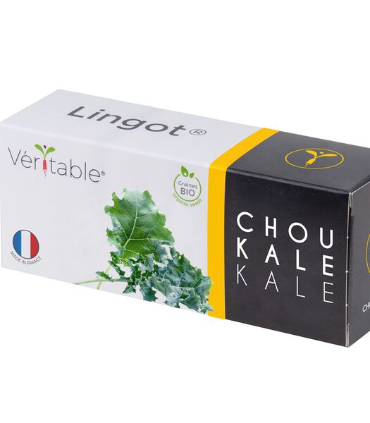 Lingot® Chou kale BIO
