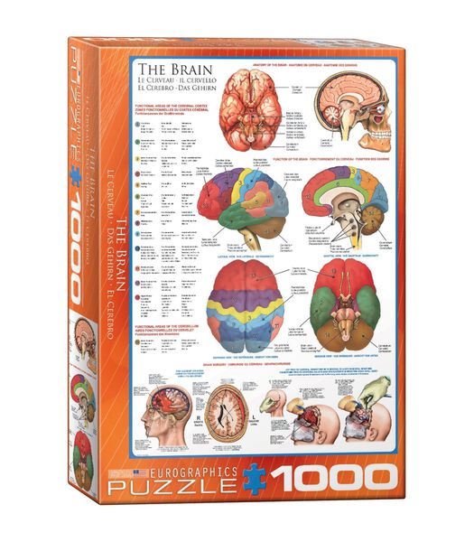 Puzzle  Le Cerveau - 1000 pièces