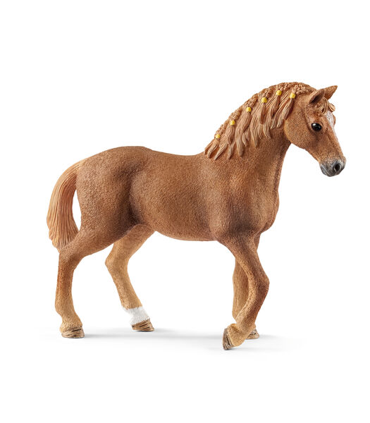 Paarden - Quarter Horse Merrie 13852
