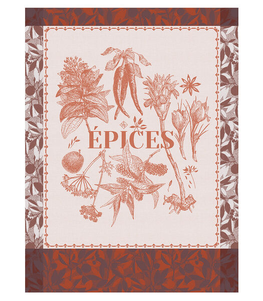 Torchon Epices & Aromates épices