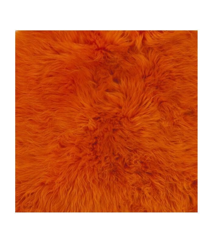 Woolly - Dierenvacht - schaap - oranje - IJsland image number 2