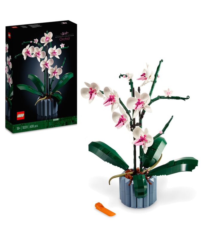 Icons Orchidee (10311) image number 1