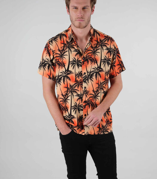 HANDY - Shirt met palmboomprint